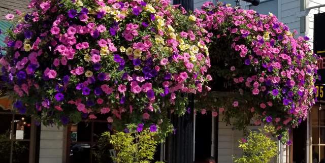 Two baskets in front of Restobar