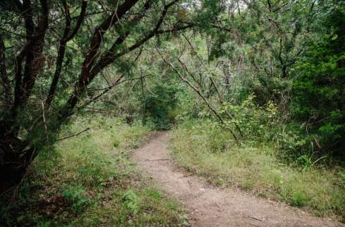 Cedar Mountain Nature Preserve
