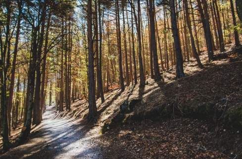 hiking trail