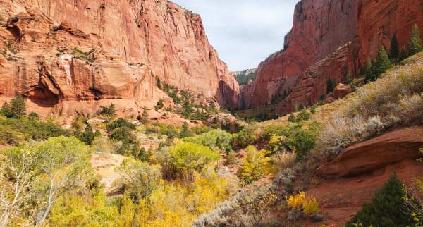 Kolob Canyons, Zion National Park, Fall