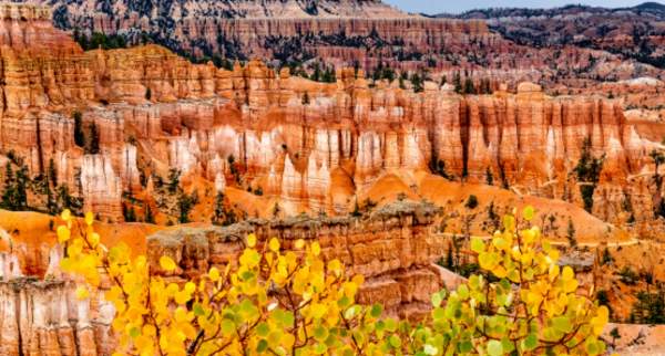 Fall in Bryce Canyon National Park | Canva Pro Image