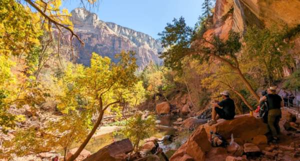 Fall in Zion National Park