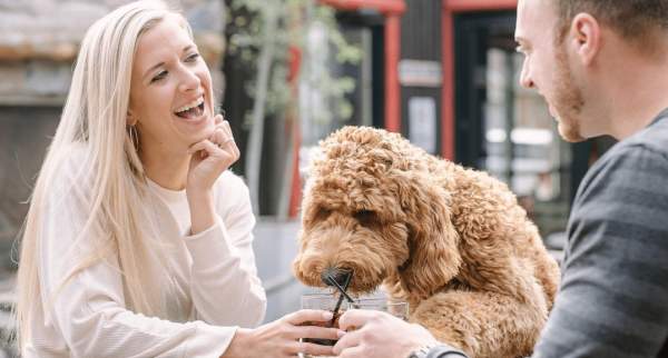 8 Must-Visit Outdoor Patios in Wauwatosa