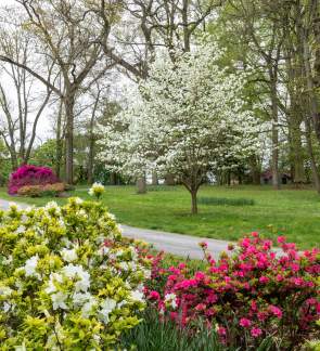Spring at Nemours