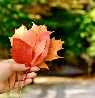 Top Ten Fall Instagram Posts of 2024: Muskegon Through Your Lens