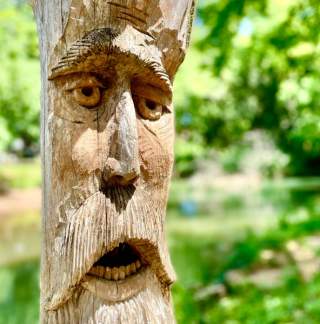 24 hours in Montevallo