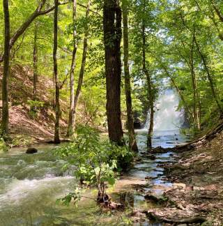 Park River Creek Fall