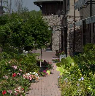 Mt Laurel birmingham