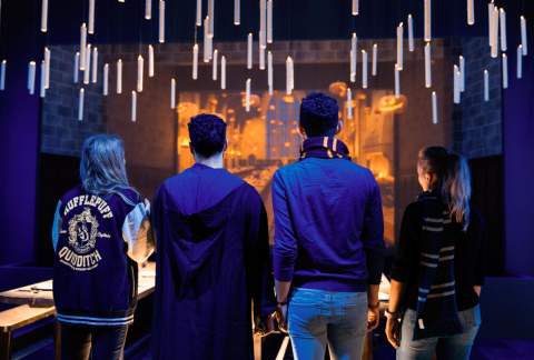 Harry Potter™: The Exhibition