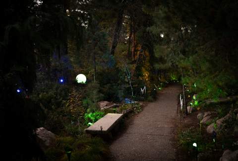 Glow at the Gardens™