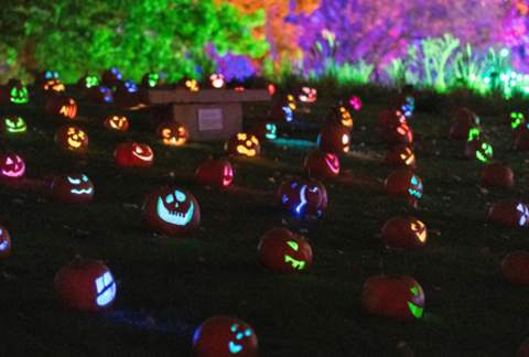 Glow at the Gardens™