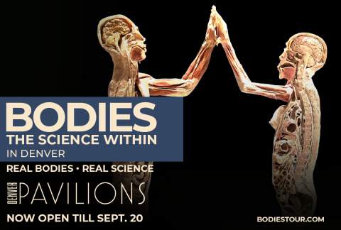 Bodies: The Science Within