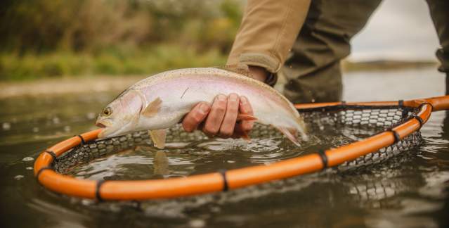 Fishing on the North Platte River