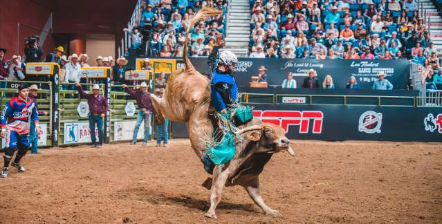 Bull riding at CNFR in 2025