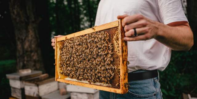 Man holding a beehive