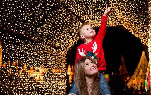 child pointing at Christmas lights