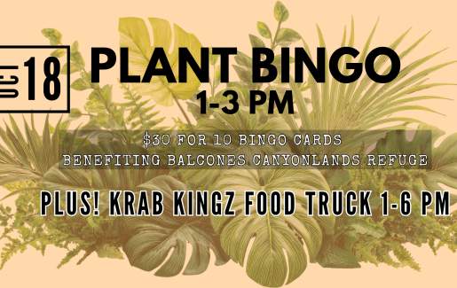 Plant Bingo & Krab Kingz Food Truck