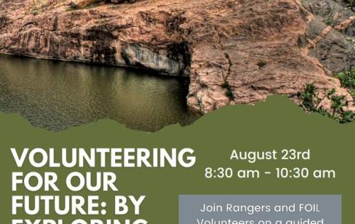 Friends of Inks Lake Volunteer Recruitment