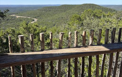 First Day Hike- Warbler Vista January 1st Guided Hike