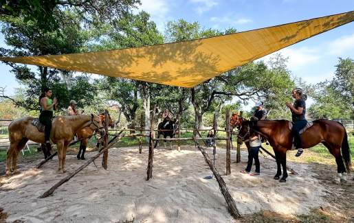 Equine Yoga Expereince