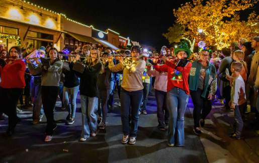 Light Up Christmas Parade