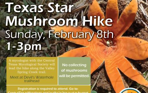 Texas Star Mushroom Walk *Registration is Required*