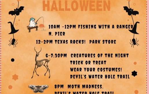 Halloween in the Park