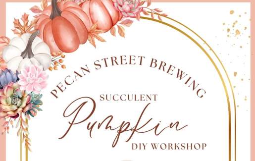 Succulent Pumpkin Workshop