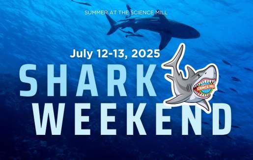 Shark Weekend