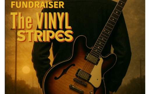 The Vinyl Stripes