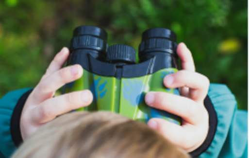 Family Friendly Bugs and Buds Guided Hike at Doeskin Ranch Trailhead
