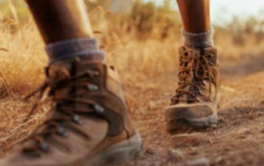 Martin Tract Guided Hike at Balcones Canyonlands NWR