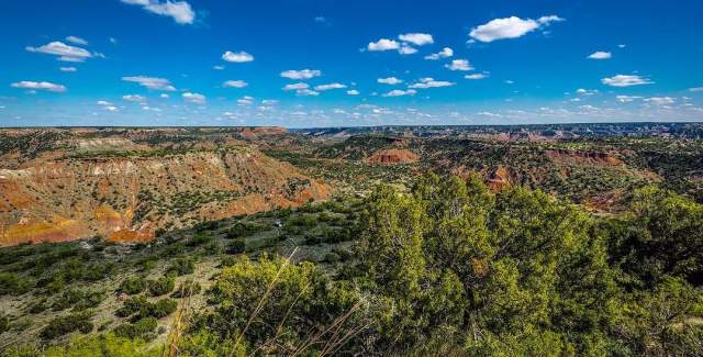 scenic view of palo duro canyon state park