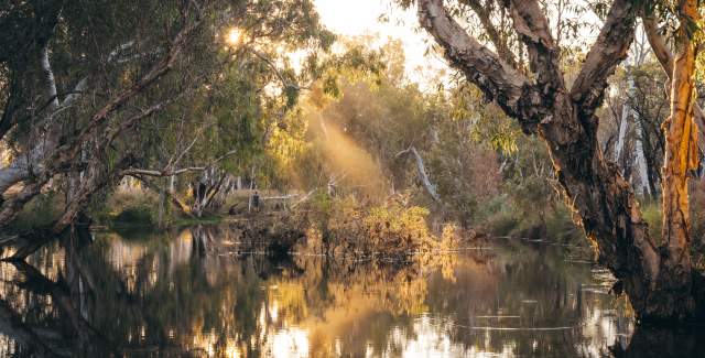 Freshwater swimming spot at Violet Valley Campground in the Kimberley