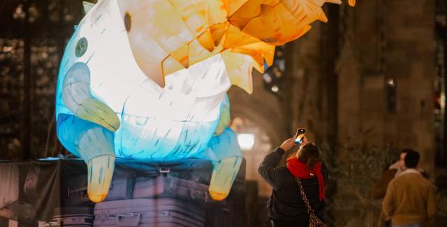 a person stood in front of a giant animal light installation in the dark taking a photo