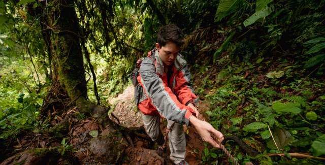 Tourist rappelling on the Lost Waterfalls trail, surrounded by lush nature