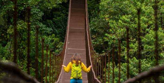 Woman walking in hanging bridge, Alto Boquete, Chiriqui province, Panamá