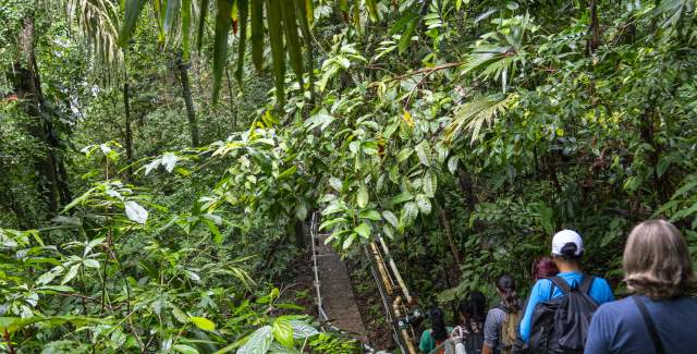 Barro Colorado Island, Smithsonian National Research Insitute, Gatún Lake, Panama City