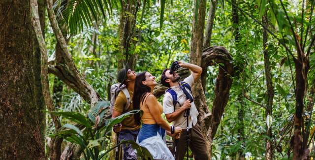 Birdwatching at Barro Colorado, Panama City, Panamá