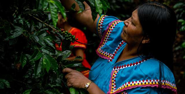 Coffee experience with indigenous group at Boquete