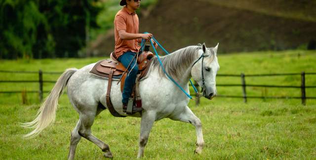 Paseo a caballo