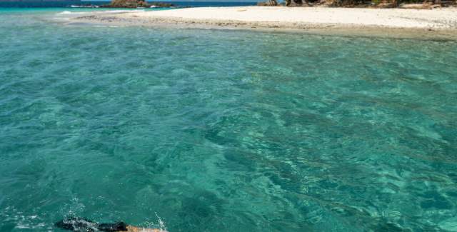 Snorkeling - Coiba Island