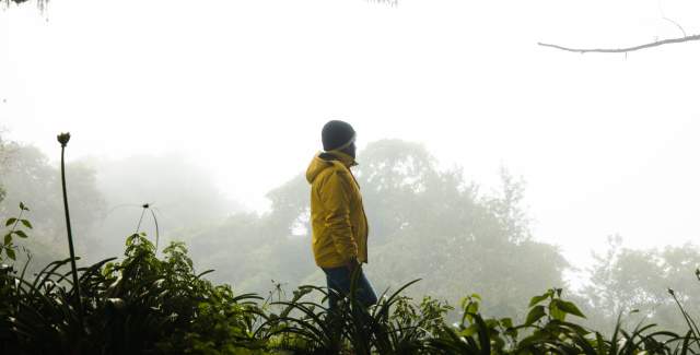 Man admiring landscape in a trail in the middle of the forest at Volcan Baru National Park