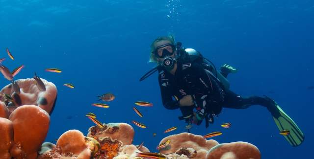 parque-nacional-isla-coiba-veraguas-diving-snorkeling