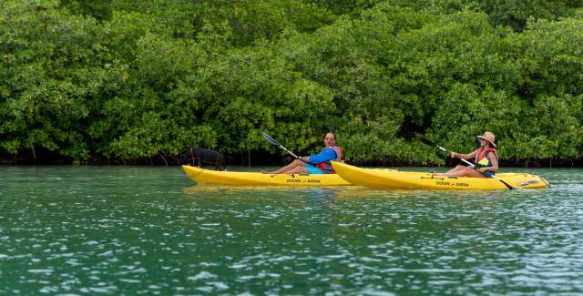 People kayaking on a beautiful waters of Venas Azules in Portobelo