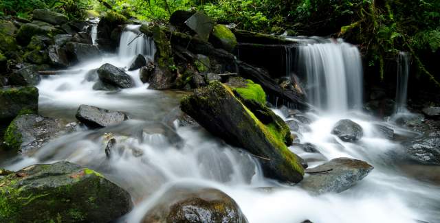 La Amistad International Park waterfall