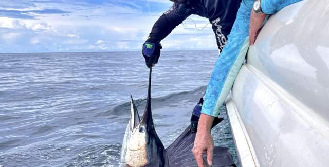 Pesca Veraguas