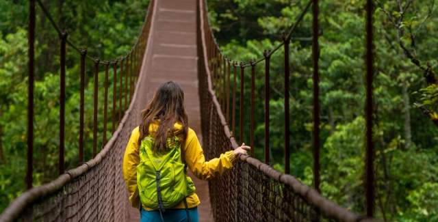 Woman Walking in beautiful Hanging bridge (facing backwards) lots of background vegetation
