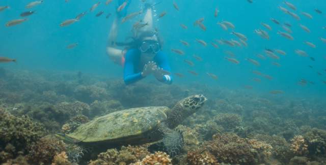 Parque Coiba