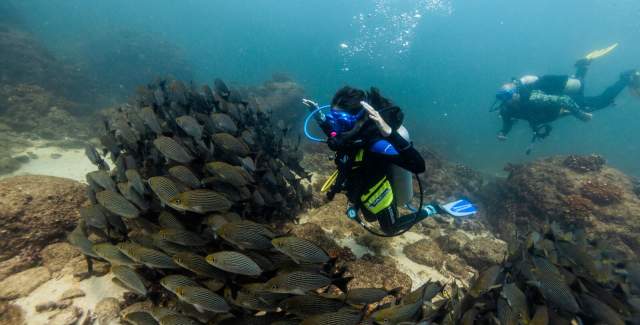 Don Juan, Coiba National Park, Gulf of Chiriquí, Panamá